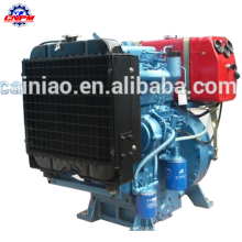 Ricardo good quality 2 twin cylinder diesel engine for sale